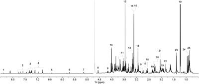A comparative NMR-based metabolomics study of lung parenchyma of severe COVID-19 patients